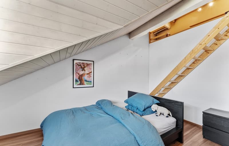 REDUZIERT ! Hier wohnt das Glück ! 5.5- bis 6,5-Zimmer-Reihenhaus in Grosswangen (23)