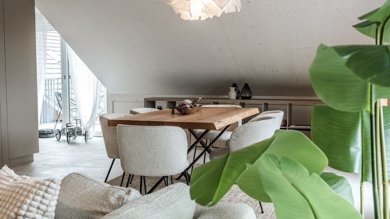 Eine besondere Wohnung sucht besondere Bewohner! Erstbezug ! (10)