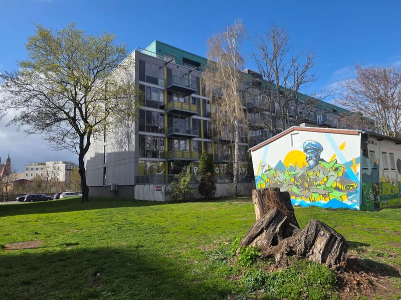 Charmante 2,5-Zimmer-Wohnung in Magdeburg – gut vermietet! (2)