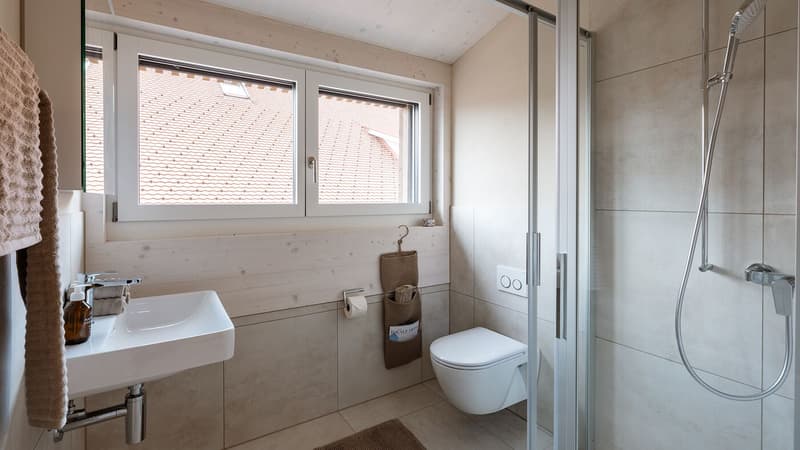 Eine "unentdeckter Schatz" : Besondere Wohnung sucht besondere Bewohner! Erstbezug ! (14)