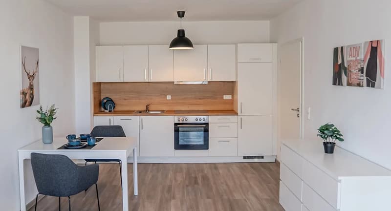 Bestandswohnungen Magdeburg 49-62 m2 Rendite 3,75 % (4)