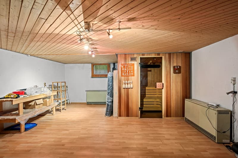 Exklusives und äusserst grosszügiges 8½-Zimmer-Einfamilienhaus mit Einliegerwohnung (12)