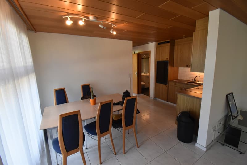 Exklusives und äusserst grosszügiges 8½-Zimmer-Einfamilienhaus mit Einliegerwohnung (10)