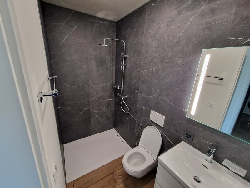 modern bathroom with gray marble walls, white toilet, white sink, shower, mirror