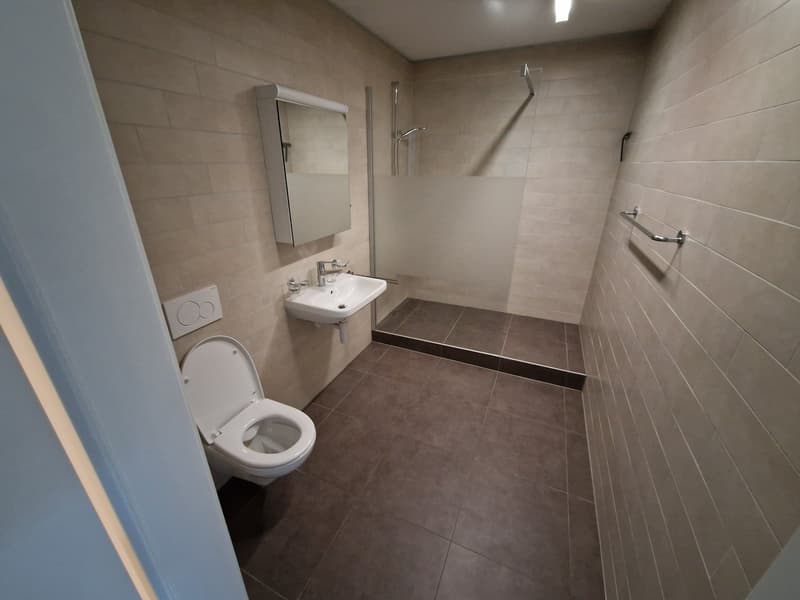 Bathroom with toilet, sink, shower, and mirror