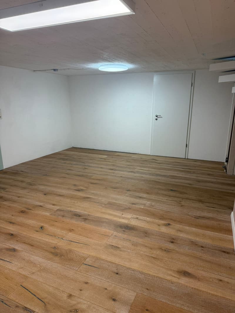 empty room, hardwood floor, white walls, white door, ceiling lights