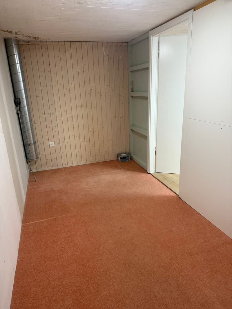 empty room, wooden wall, carpeted floor, open door, small shelf
