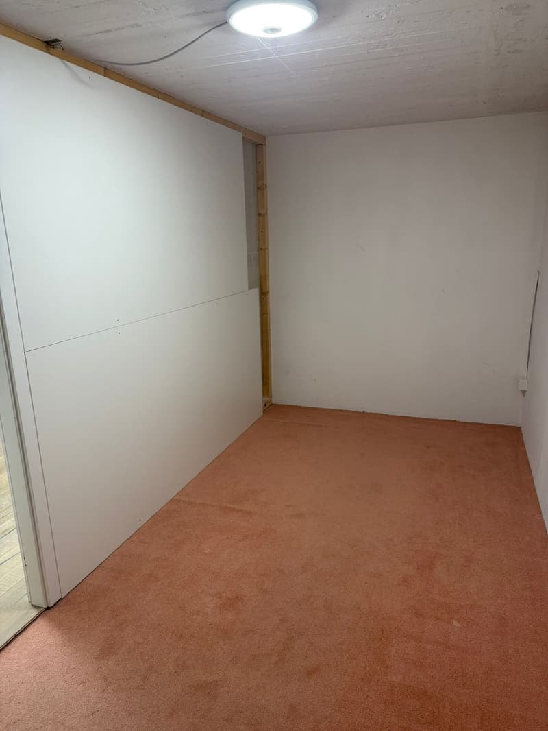 Empty room with white walls, brown carpet, ceiling light