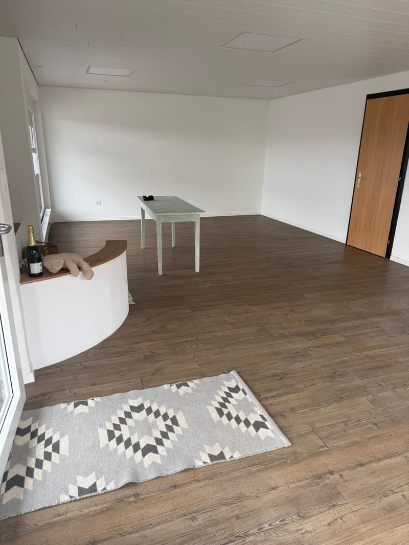 empty room, wooden floor, white walls, glass door, small table, rug, bottle, stuffed toy
