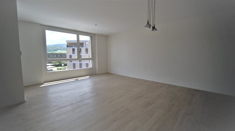 Appartement 2.5 pièces lumineux (2)