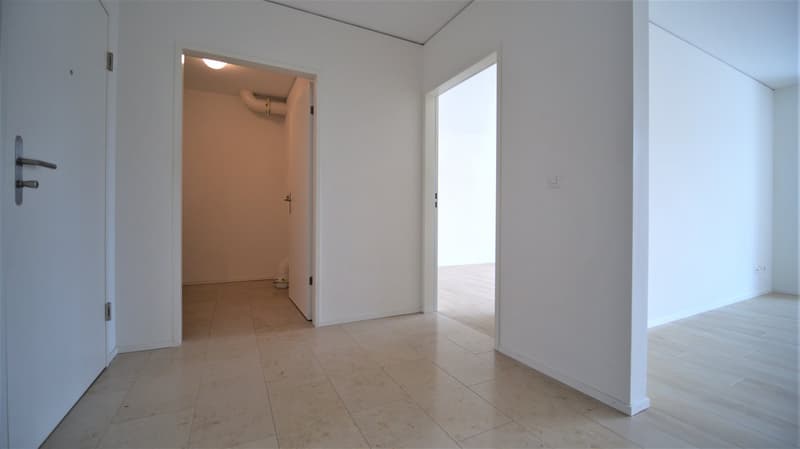 Appartement 2.5 pièces lumineux (6)