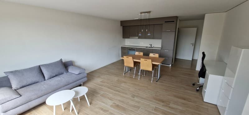 Appartement meublé moderne de 2.5 pièces à Delémont – disponible immédiatement (1)