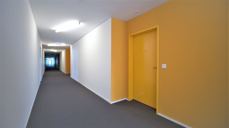 Appartement meublé moderne de 1 pièce au cœur de Delémont (6)