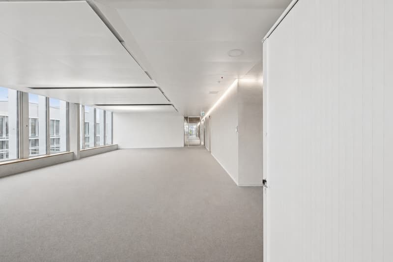 Flexible Büroflächen an zentraler Lage (11)