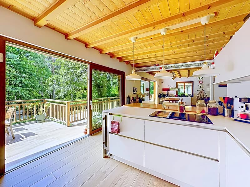 Magnifique villa rénovée avec jardin paysager (3)