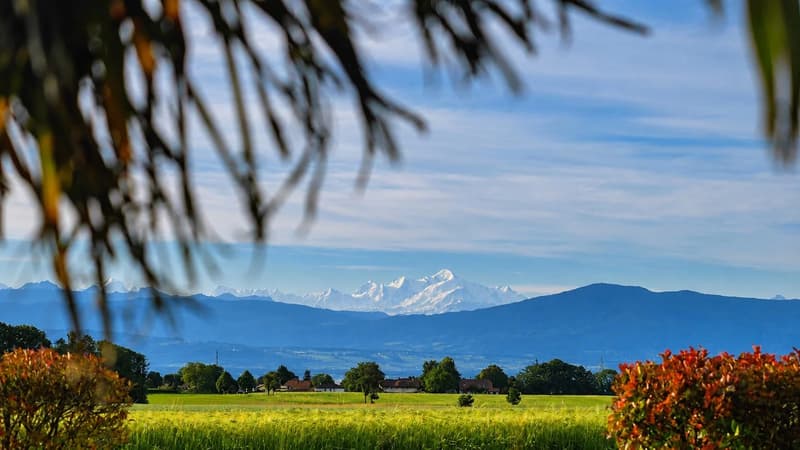 Villa d'exception - Vue lac & Mont-Blanc (9)