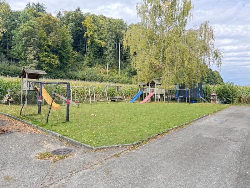 Mehr als nur wohnen - Ihr neues Zuhause in Unterkulm (7)