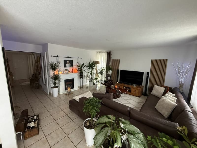 Magnifique appartement de 5,5 pièces avec deux terrasses à Ménières (3)