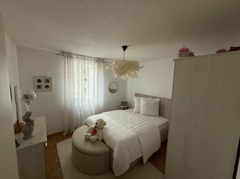 Magnifique appartement de 5,5 pièces avec deux terrasses à Ménières (8)