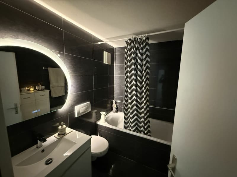 Magnifique appartement de 5,5 pièces avec deux terrasses à Ménières (6)