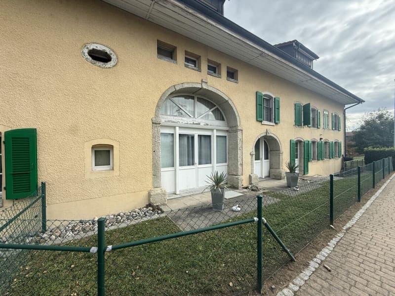 Magnifique appartement de 5,5 pièces avec deux terrasses à Ménières (1)