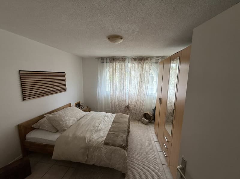 Magnifique appartement de 5,5 pièces avec deux terrasses à Ménières (4)