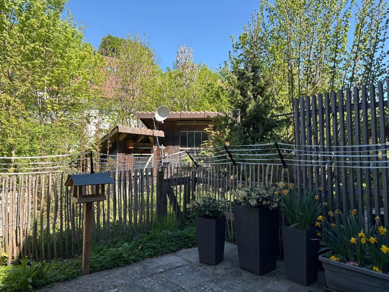 Charmantes 5.5-Zimmer-Flarzhaus in Bäretswil (17)