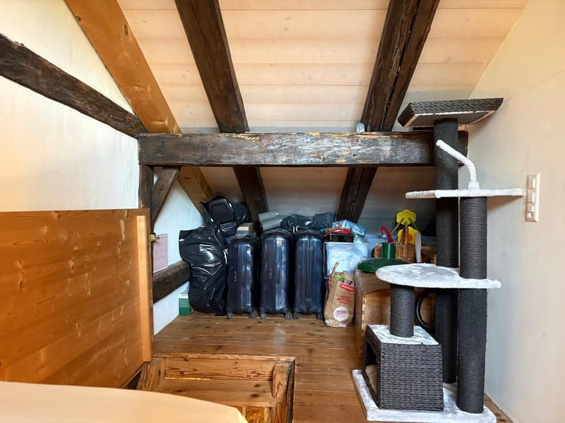 Charmantes 5.5-Zimmer-Flarzhaus in Bäretswil (14)
