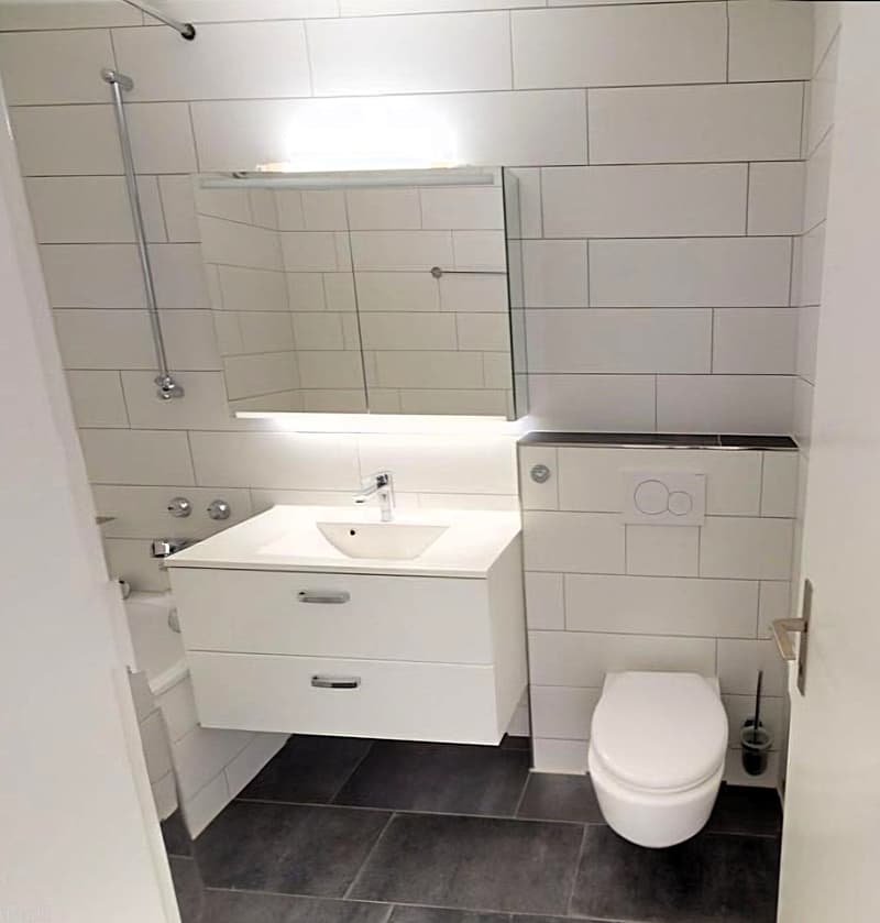 Helle und gepflegte 2.5-Zimmer-Dachwohnung in Effretikon ZH (8)