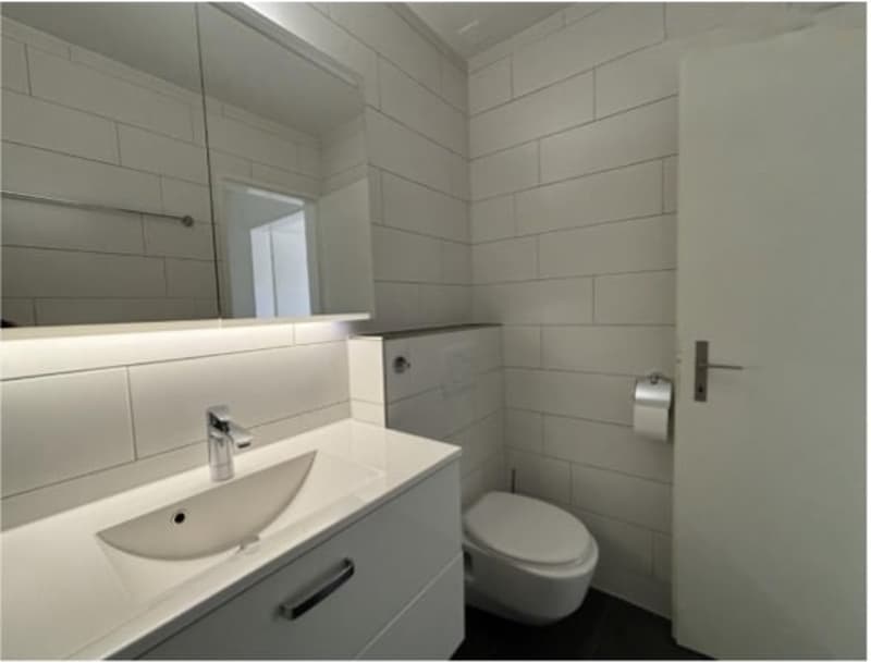 Helle und gepflegte 2.5-Zimmer-Dachwohnung in Effretikon ZH (9)