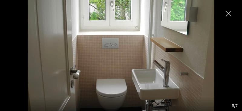 3.5-Zimmer-Altbauwohnung mit privatem Garten an der Zürichbergstrasse (11)