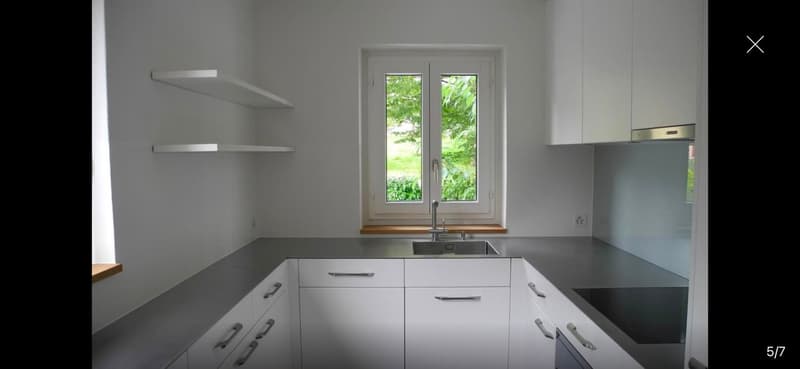 3.5-Zimmer-Altbauwohnung mit privatem Garten an der Zürichbergstrasse (9)