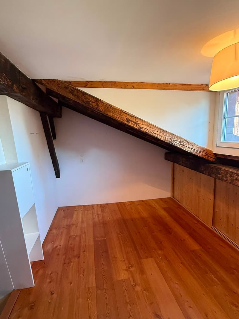 Charmantes 5.5-Zimmer-Flarzhaus in Bäretswil (6)