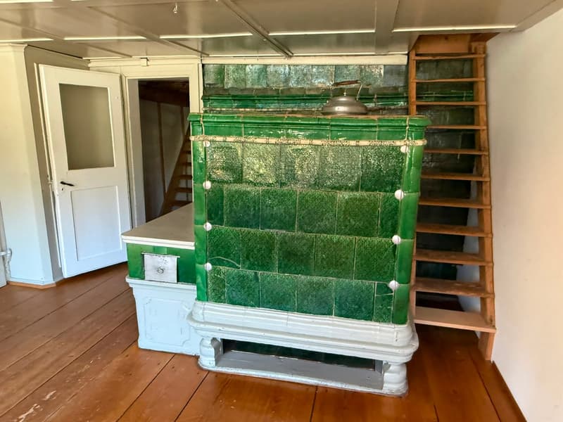 Charmantes 5.5-Zimmer-Flarzhaus in Bäretswil (15)