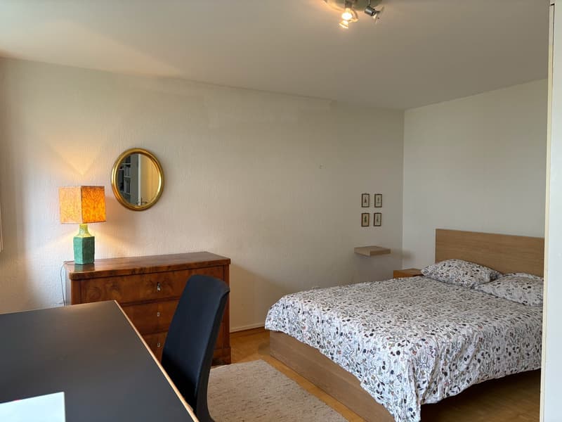 Befristete, charmante 2.5-Zimmer-Altbauwohnung an der Freudenbergstrasse in Zürich (2)