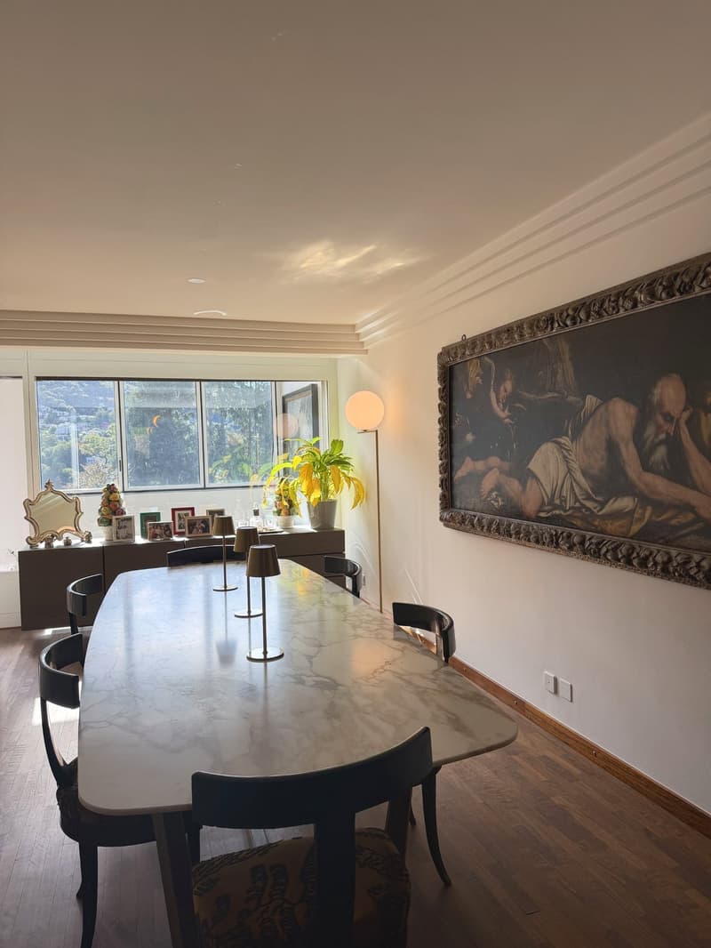 Splendida maisonette con giardino privato a due passi dal centro (8)