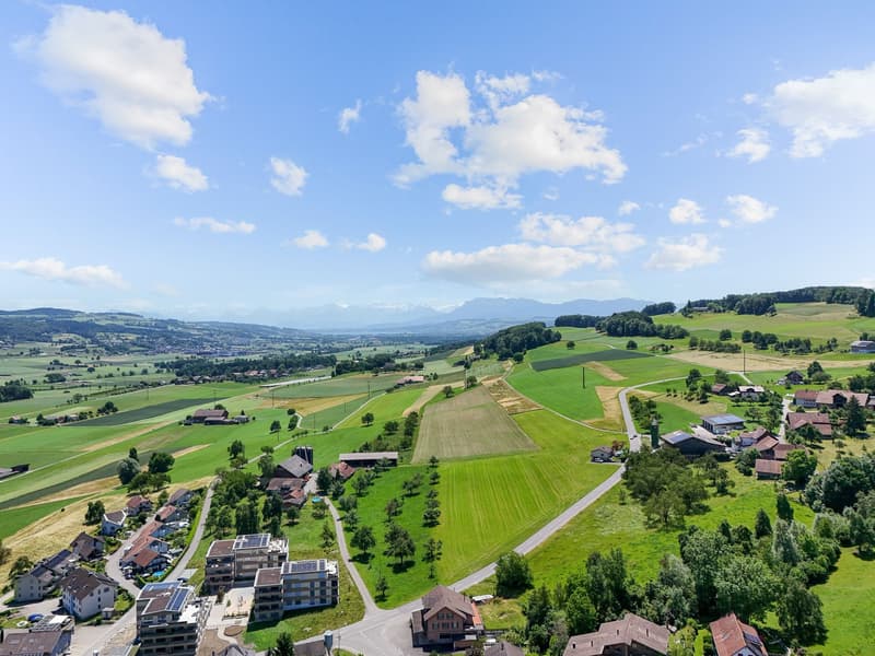 7.5-Zimmer-Einfamilienhaus mit grossem Garten in Triengen / Winikon LU kaufen (12)