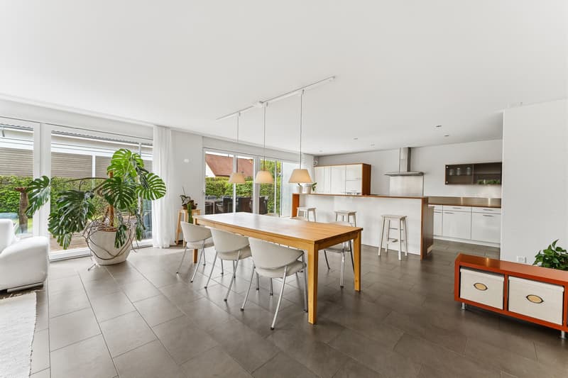 5.5-Zimmer-EFH mit grossem Garten in Hochdorf - effizient (8)