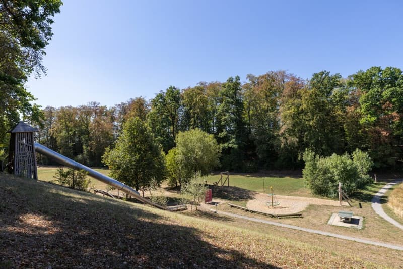 Bauland in Büron (Luzern) (18)