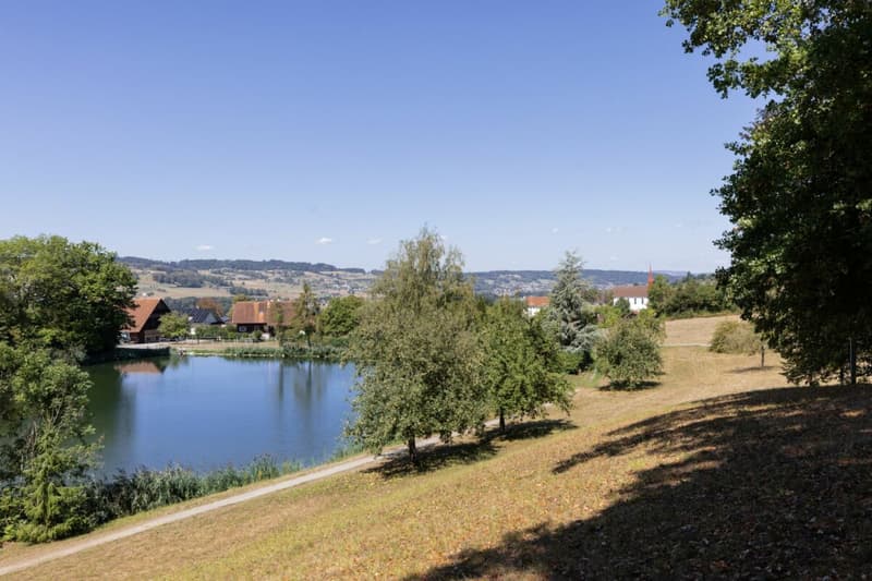 Bauland in Büron (Luzern) (1)