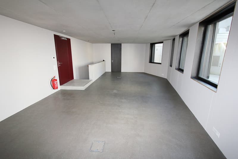 Gewerberaum in architektonisch eindrucksvoller Liegenschaft (3)