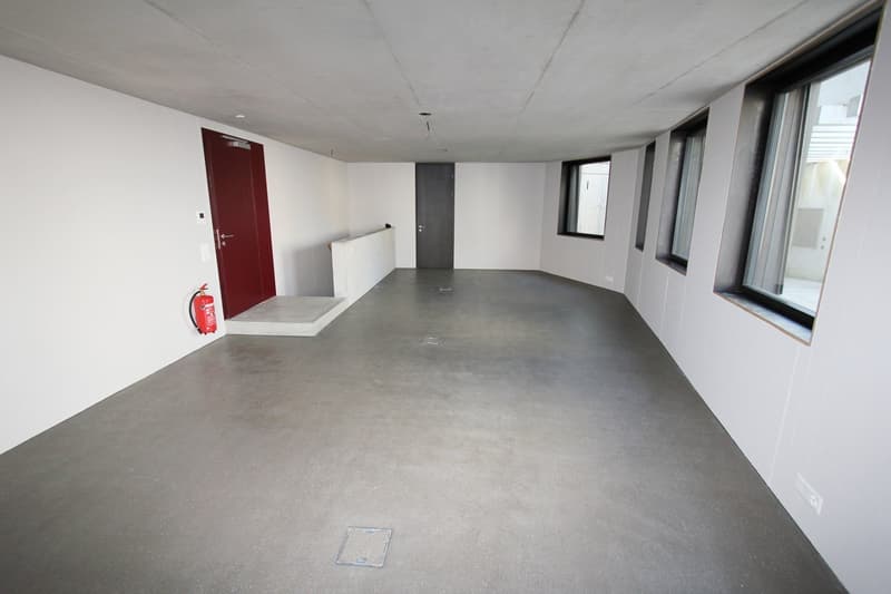 Gewerberaum in architektonisch eindrucksvoller Liegenschaft (3)