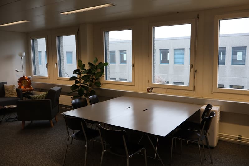 large windows, table, chairs, couch, plant, lamp