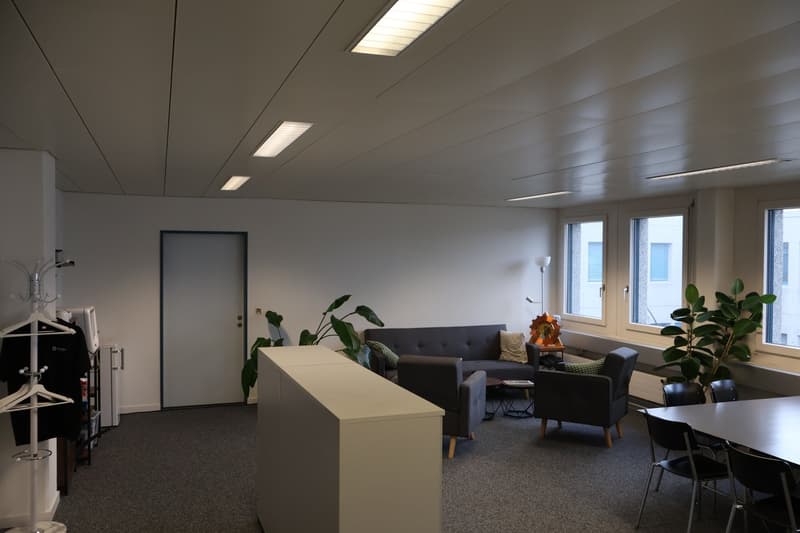 modern office room with white walls, carpeted floor, large windows, couch, table, chairs, plants