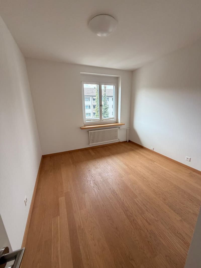 empty room, wooden floor, white walls, window with white frame, white ceiling light, white radiator