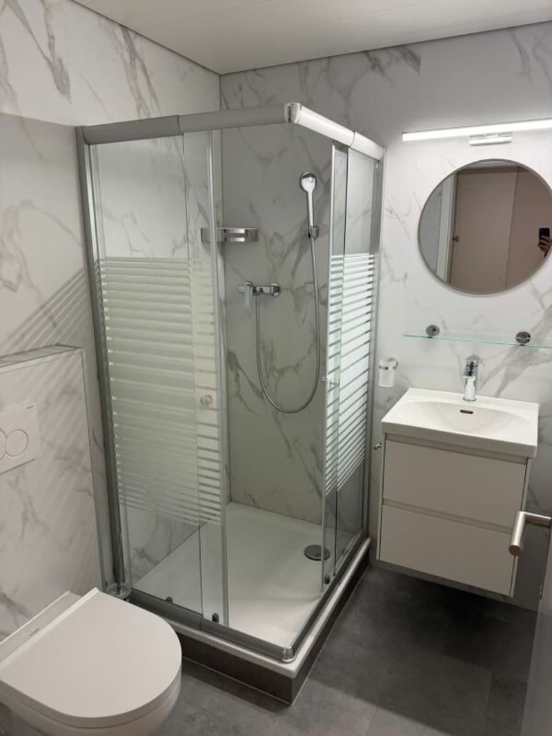 Magnifique studio en duplex en plein centre-ville de Delémont (8)