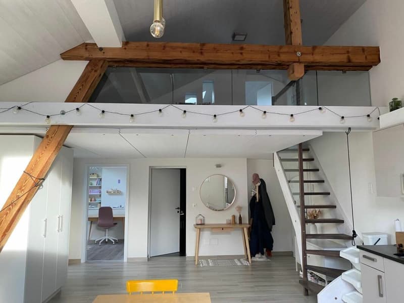Magnifique appartement de 4.5 pces au centre de Bassecourt (1)