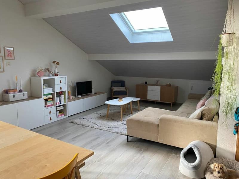 Magnifique appartement de 4.5 pces au centre de Bassecourt (3)
