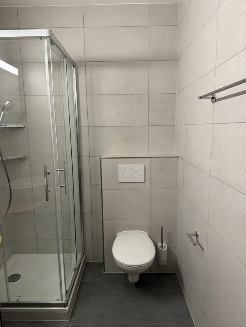 Magnifique 2.5 pces au rez-de-chaussée rénové à neuf au centre de Glovelier (9)