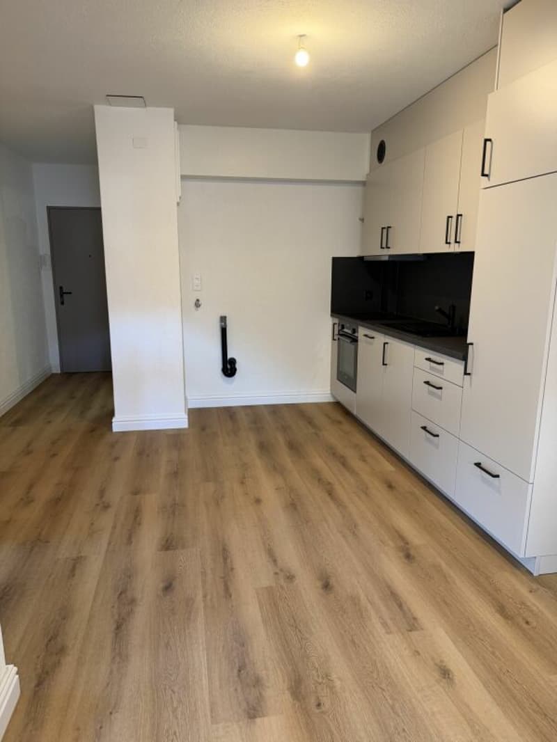 Magnifique 2.5 pces au rez-de-chaussée rénové à neuf au centre de Glovelier (4)